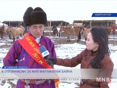 Б.Отгоннасан: Хоринтаван жил мал маллаж байна