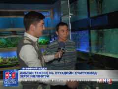 Амьтан тэжээх нь хүүхдийн хүмүүжилд эерэг нөлөөтэй