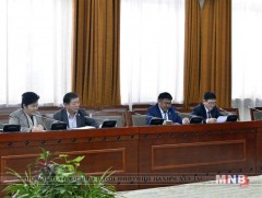Дотоодын цэргийн тухай хуулийн төслийн анхны хэлэлцүүлгийг дэмжив