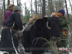 Царманд ассан мянган сарлаг 