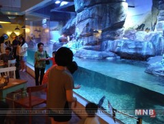 Индонезийн ресторанд оцон шувуутай хамт зоог барих боломжтой...