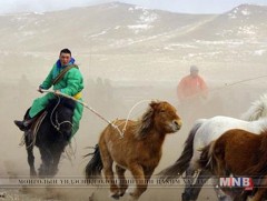 “Талын түмэн адуу”-ны баярын мандат хөөрөгний даалин, аяга байх аж