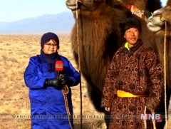 Эргэх дөрвөн цаг