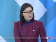 Нийслэлд 27 зүйлийн шувуу өвөлжиж байна