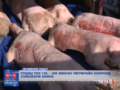 Ууцны үнэ 130-500 мянган төгрөгийн хооронд хэлбэлзэж байна