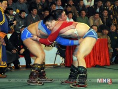 Шилдэг найман бөх шалгарлаа 