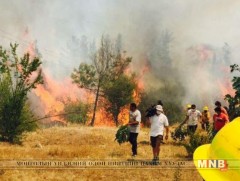 Ойн түймрийг унтраах ажилд сайн дурынхан нэгджээ 