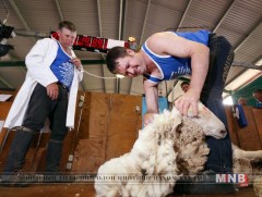 Хонины ноос хяргалтын дэлхийн аварга шалгаруулах тэмцээн эхэллээ