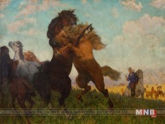 Нүүдлийн үзэсгэлэн Орхон аймагт үргэлжилж байна 