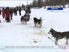 2020 оноос хойш нохой чаргыг Монголд хөгжүүлж байна 