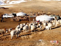 15 аймгийн 127 суманд хаваржилт хүндэрч  байна