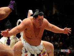 Сүмо бөхийн хаврын тэмцээн ирэх ням гарагт эхэлнэ