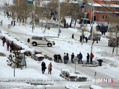 Цасны дараа ажилсаг хонгорчууд /фото/ 