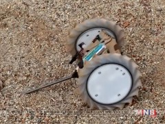 Ямар ч гадаргуу дээр явах чадвартай робот бүтээжээ