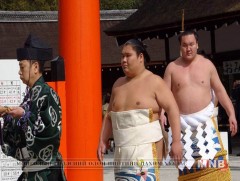 Их аварга Хакүхо бүгдийг нь давжээ