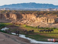 Өмнөговь аймаг аялал жуулчлалын бүс болно 