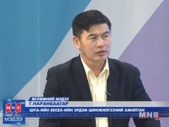 Өнөөдөр дэлхийн зэрлэг ан амьтдын өдөр тохиож байна