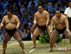 Аваргуудад энэ сарын башё халгаатай эхэлж байна