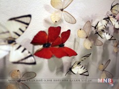 Ром хотод эрвээхэйн үзэсгэлэн нээгдлээ