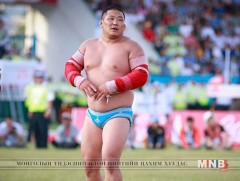 Тахиа жилийн анхны барилдаанд улсын арслан Н.Батсуурь түрүүллээ