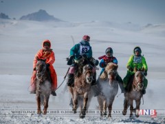 “Гачуурт хурд” уяачдын холбоо шилдгээр шалгарлаа