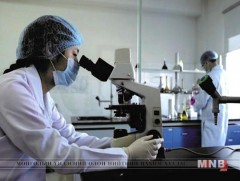 Сүхбаатар аймагт элэгний хорт хавдрын өвчлөл их байна 