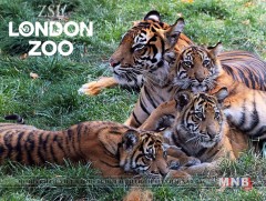 Лондон хотын амьтны хүрээлэнгийн 189 жилийн ой тохиож байна