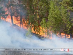 Иргэдийг ой хээрийн түймрээс урьдчилан сэргийлэхийг анхааруулав