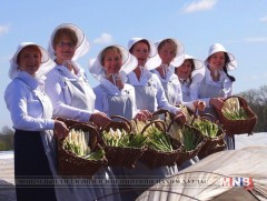 Герман улсад шпаргел ногооны худалдаа эхэлжээ        