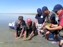 Загасны үржлийн оргил үед загас барихыг амьтны тухай хуулиар хоригложээ