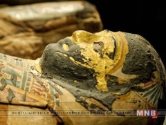 3.5 мянга жилийн настай занданшуулсан шарил олж илрүүлжээ