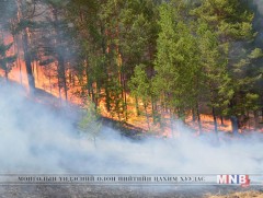 Булган аймгийн Сэлэнгэ суманд ой хээрийн түймэр гарлаа 