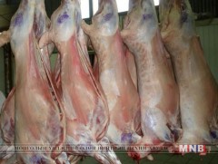 Мах экспортлогчдыг хүлээн авч уулзлаа