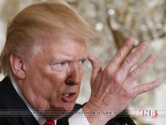 АНУ-д нэр төрд халдсан, гүтгэсэн хэргийн  хариуцлагыг  чангатгахаар төлөвлөж байна