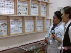 Олон улсын биологийн өдөр тохиож байна