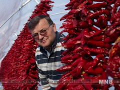 Великий Добронь бол халуун чинжүүний өлгий нутаг...