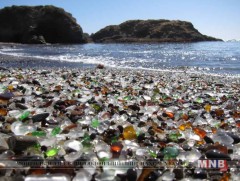 Үл мэдэгдэх бактер далайн усанд хаягдсан хуванцар материалыг устгах үйлчилгээ үзүүлж байна 
