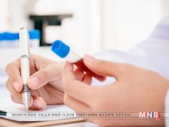  В, С вирусын илрүүлэг шинжилгээг нийслэлд эхлүүлэх бэлтгэлийг хийж байна 