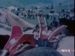 Монгол эмээл 