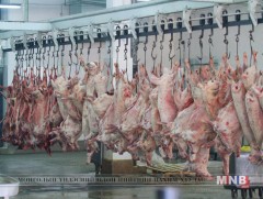 Чандмань суманд махны үйлдвэр барихаар болжээ