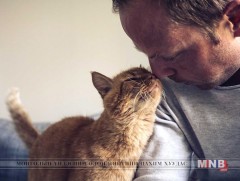 Муурын хүржигнэх дуу хүний насыг уртасгадаг  