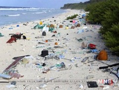 Эрдэмтэд дэлхийн “хог хаягдлын нийслэлийг” олжээ