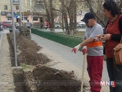 Явган хүний замыг авто замаас тусгаарлан мод тарьж эхэллээ