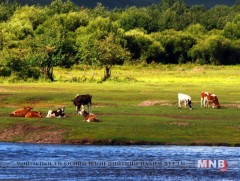 Есдүгээр сарын нэгэн гэхэд өвөлжилтийн бэлтгэлээ хангаж дуусна 
