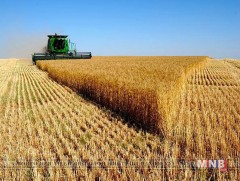 Улсын хэмжээнд хаврын тариалалтын явц 94.6 хувьтай байна