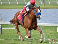 Д.Ганбаатарын “Mongol G” хүлэг тод магнай болж, торгон жолоо өргүүллээ