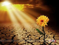 Олон улсын цөлжилттэй тэмцэх өдөр тохиож байна 