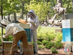 НҮБ: 2016 онд дүрвэгсдийн тоо 65.6 саяд хүрсэн 