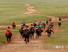 Эрлийз морио Монгол адуутай уралдуулбал хуулийн хариуцлага хүлээлгэнэ 