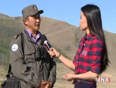 Байгаль хамгаалагч мэргэжлийн онцлог